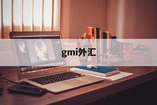 gmi外汇(gmi外汇官网登录)